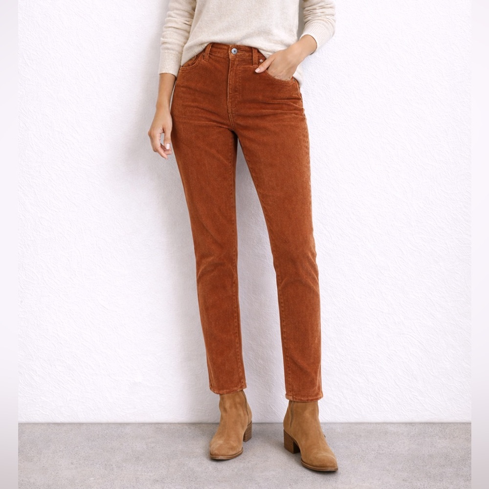 Patagonia Women’s Size 27 Corduroy Pants Rust Brown Organic Cotton Straight Leg